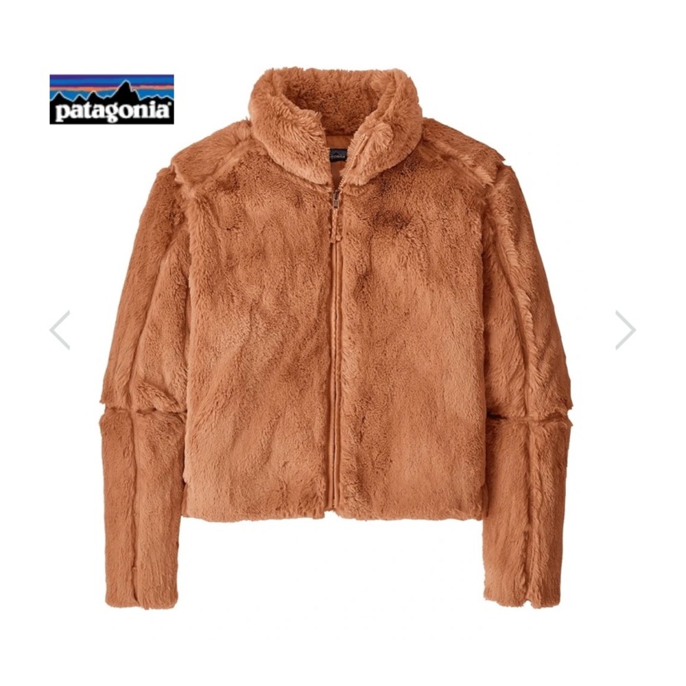 *Not for sale* iso Patagonia lunar frost jacket